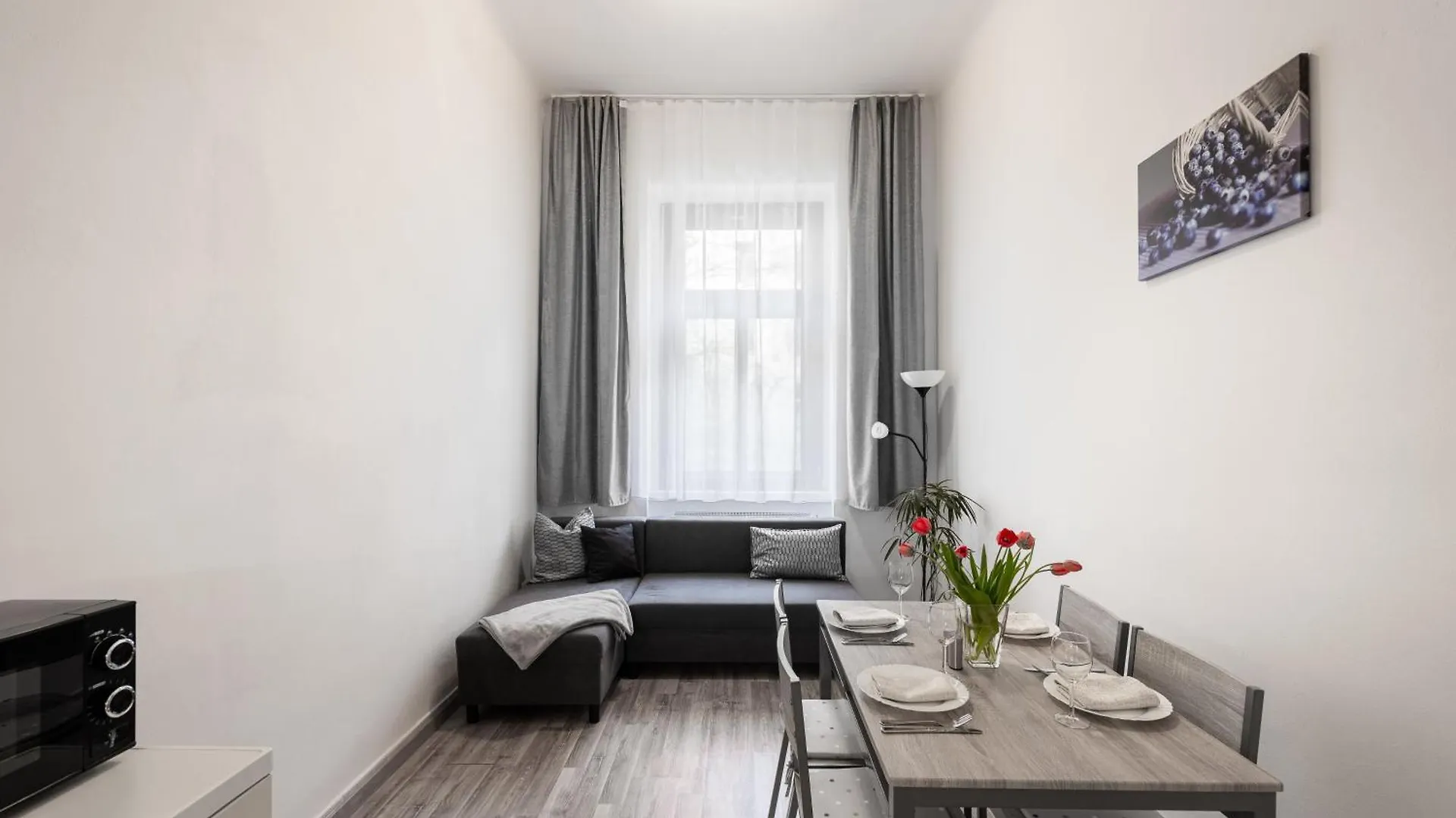Prague - Karlin Apartments 捷克