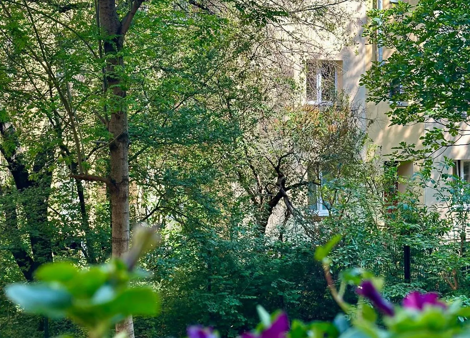 Prague - Karlin Apartments